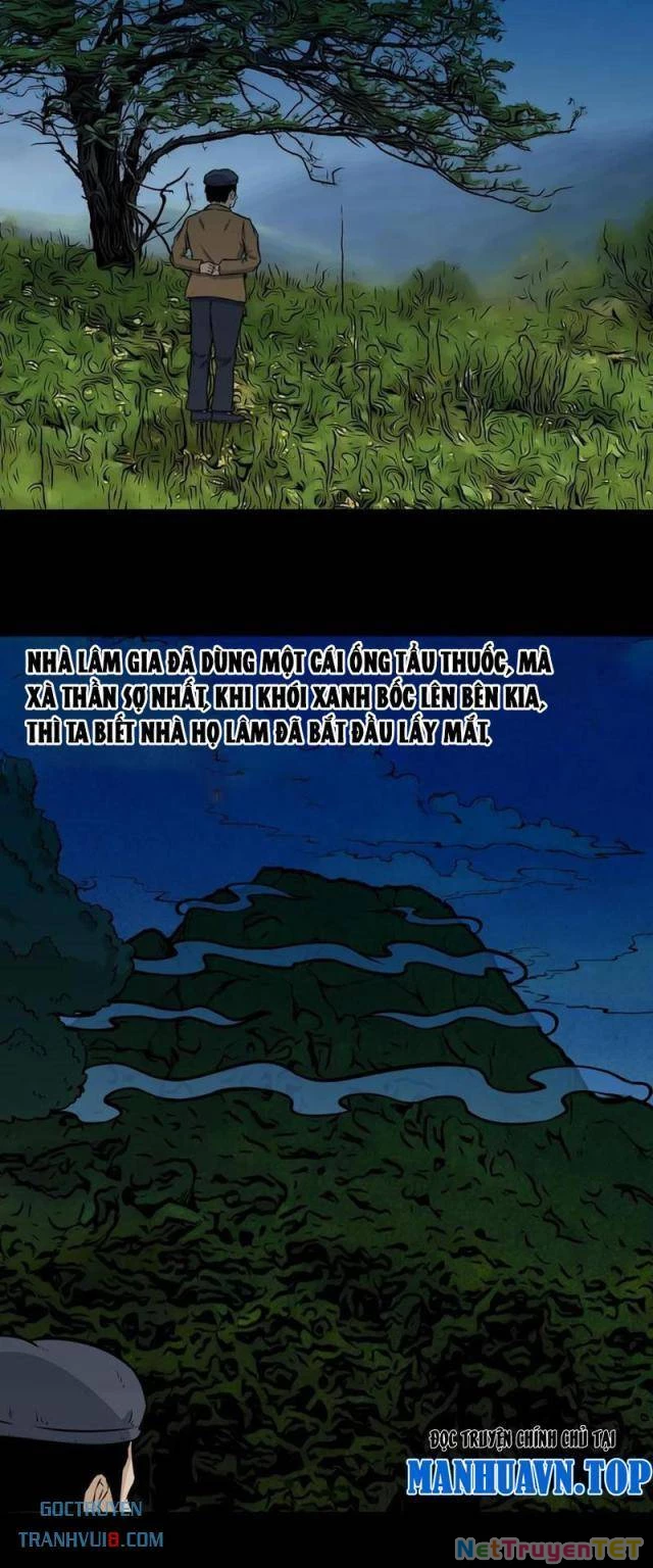 Đấu Yếm Thần Chapter 247 - Trang 3