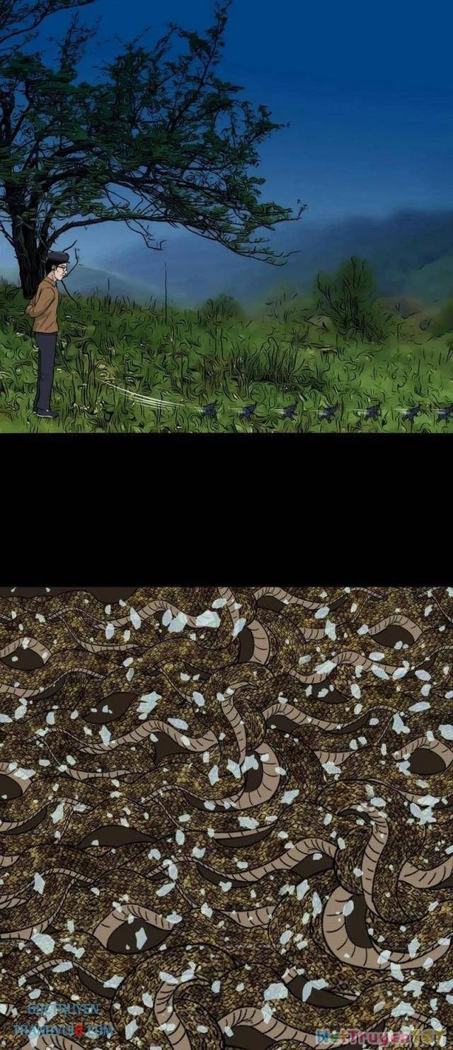 Đấu Yếm Thần Chapter 247 - Trang 3