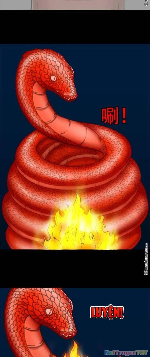 Đấu Yếm Thần Chapter 251 - Trang 3