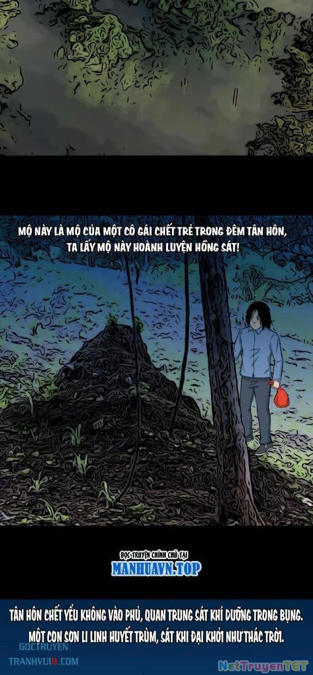 Đấu Yếm Thần Chapter 255 - Trang 3