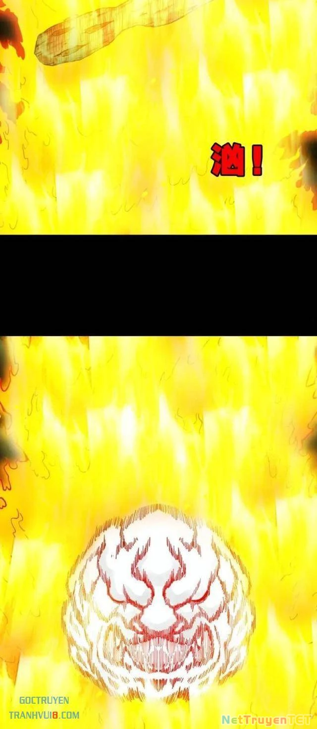 Đấu Yếm Thần Chapter 261 - Trang 3