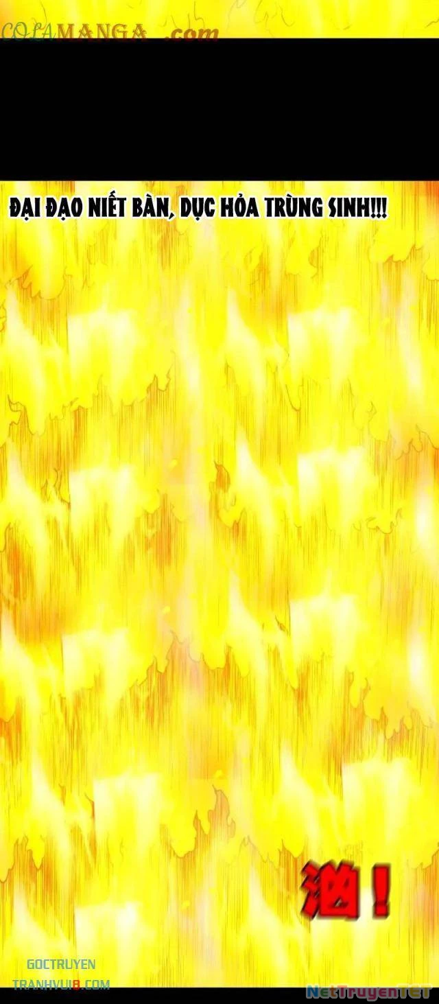 Đấu Yếm Thần Chapter 261 - Trang 3