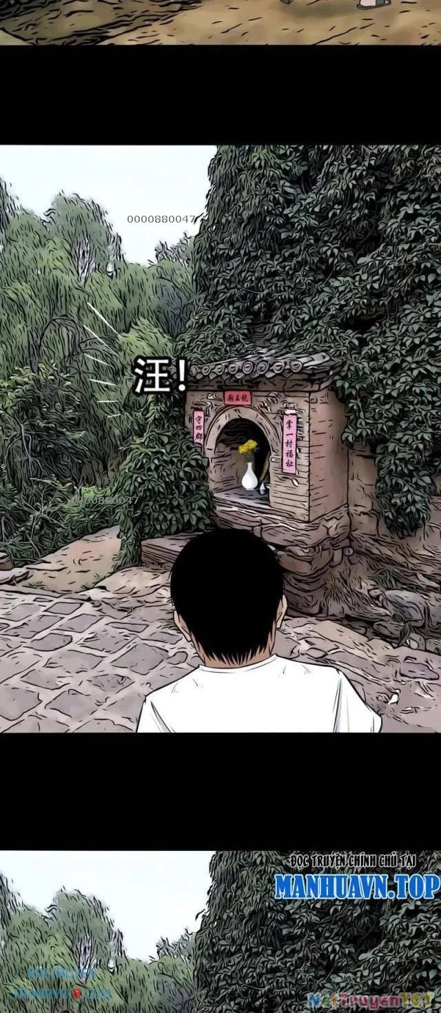 Đấu Yếm Thần Chapter 262 - Trang 3