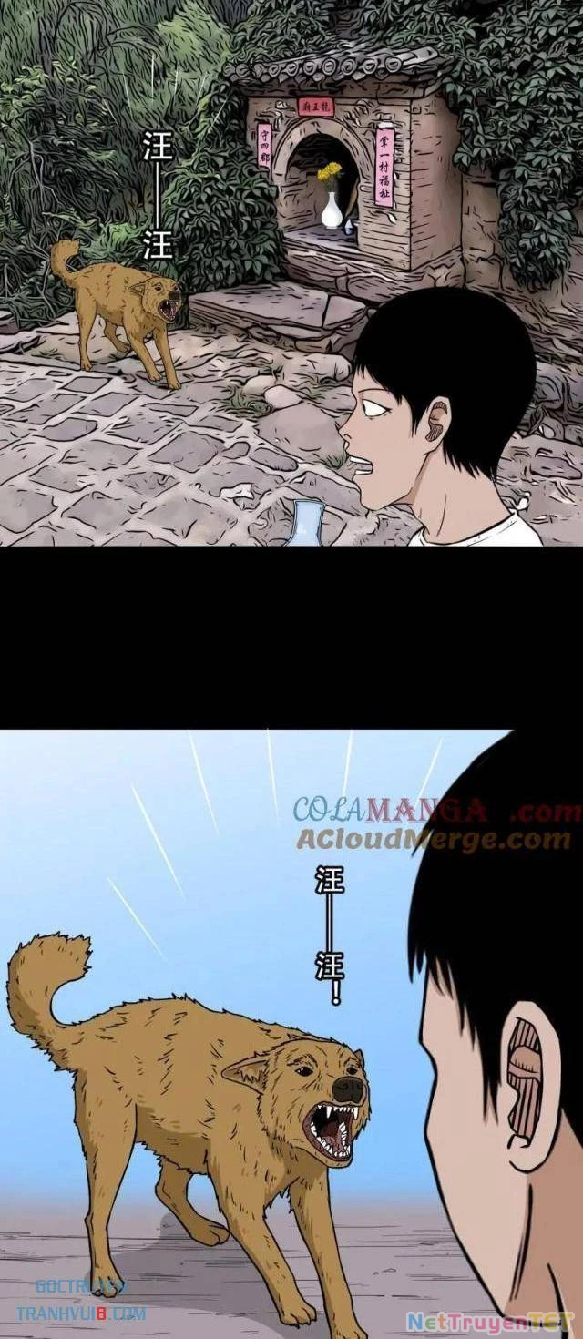 Đấu Yếm Thần Chapter 262 - Trang 3