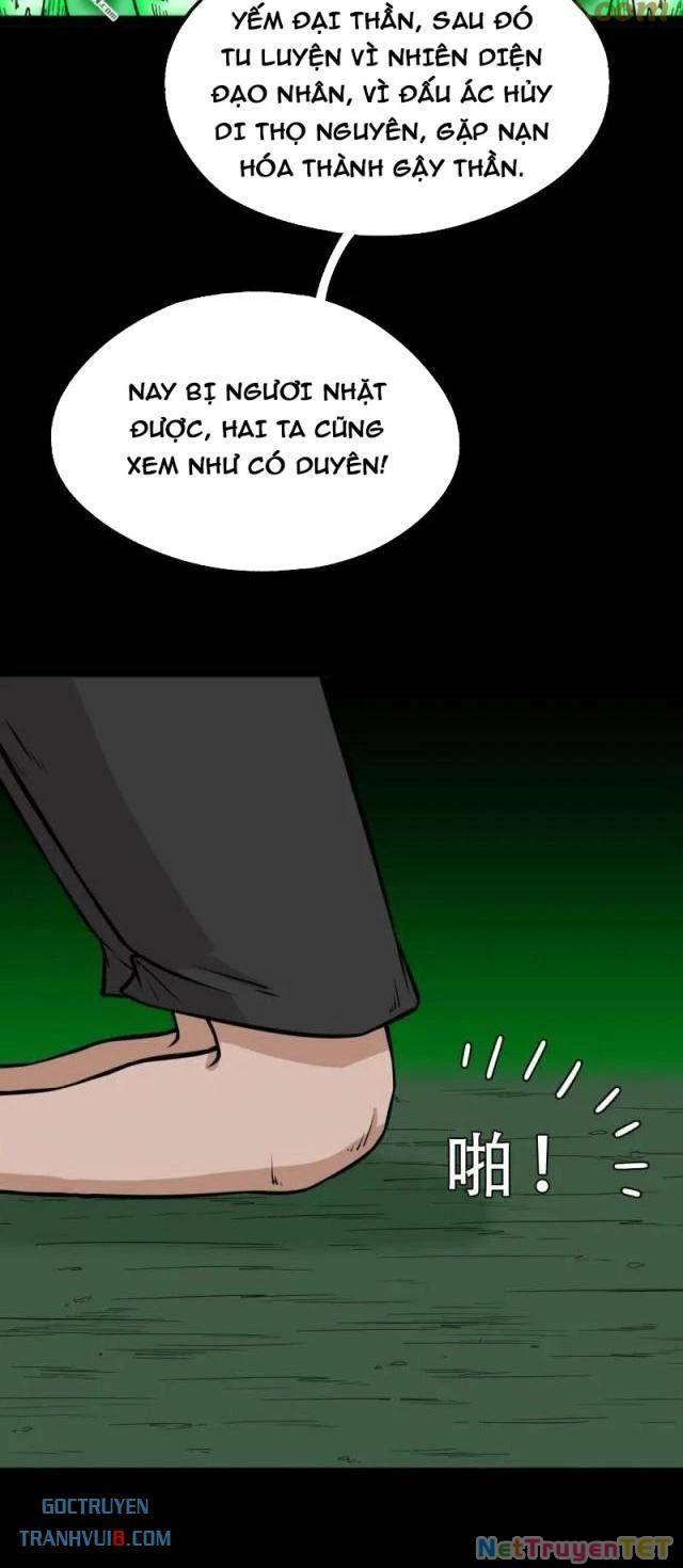 Đấu Yếm Thần Chapter 265 - Trang 3