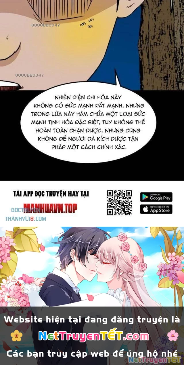 Đấu Yếm Thần Chapter 269 - Trang 3