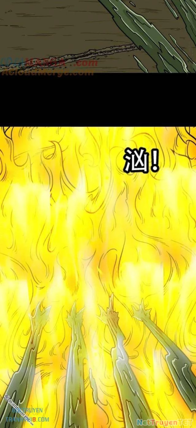 Đấu Yếm Thần Chapter 270 - Trang 3