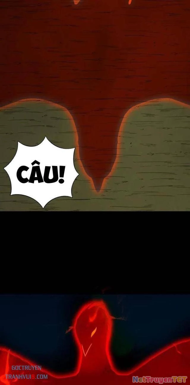 Đấu Yếm Thần Chapter 270 - Trang 3