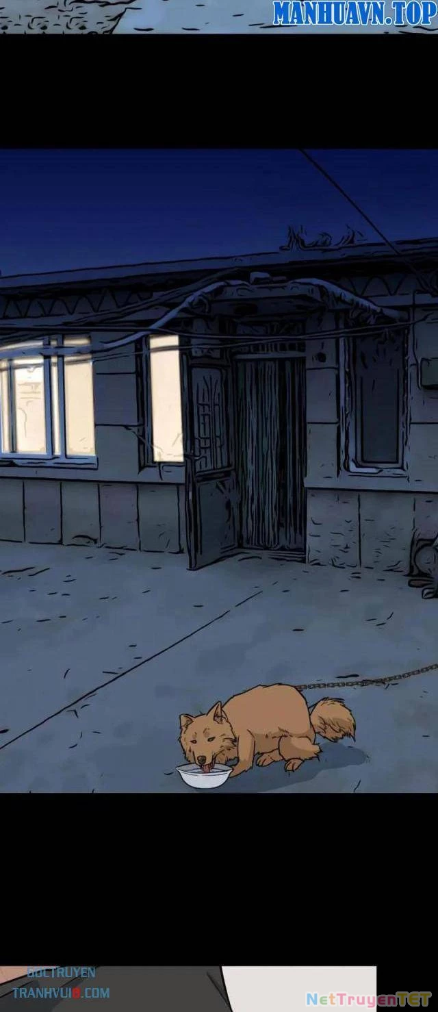 Đấu Yếm Thần Chapter 277 - Trang 3