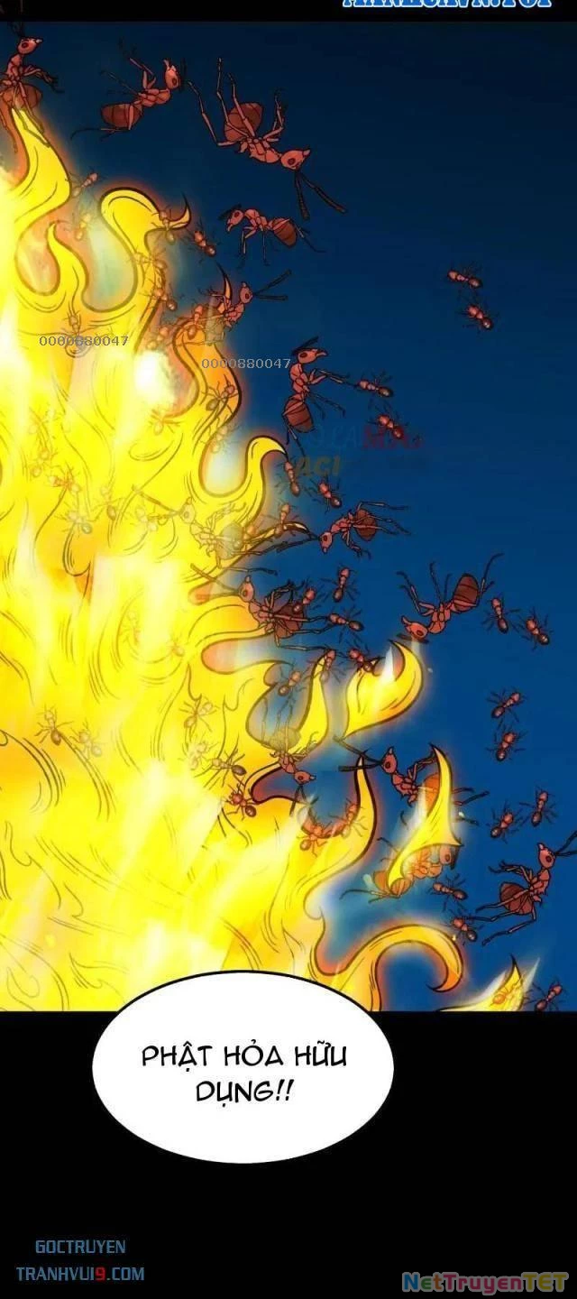 Đấu Yếm Thần Chapter 281 - Trang 3