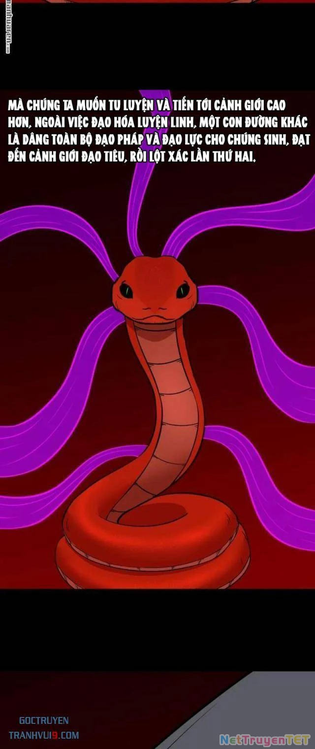 Đấu Yếm Thần Chapter 285 - Trang 3