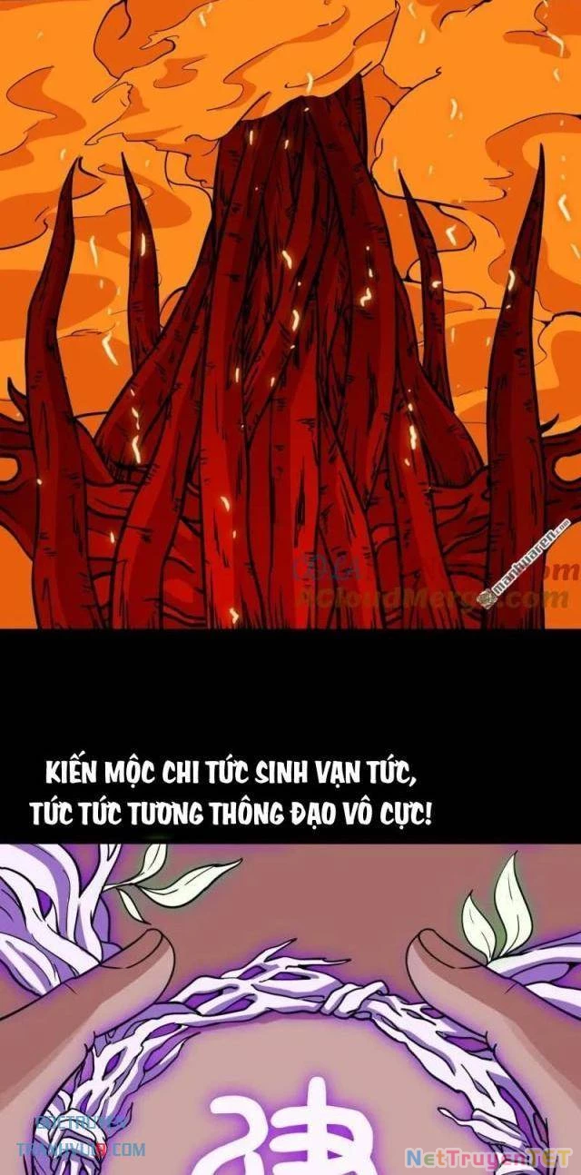 Đấu Yếm Thần Chapter 293 - Trang 3