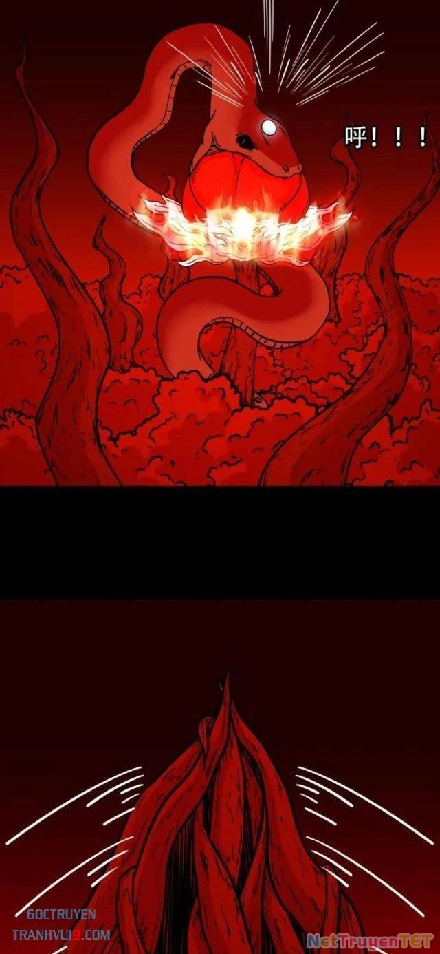 Đấu Yếm Thần Chapter 295 - Trang 3