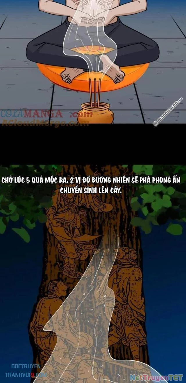 Đấu Yếm Thần Chapter 295 - Trang 3