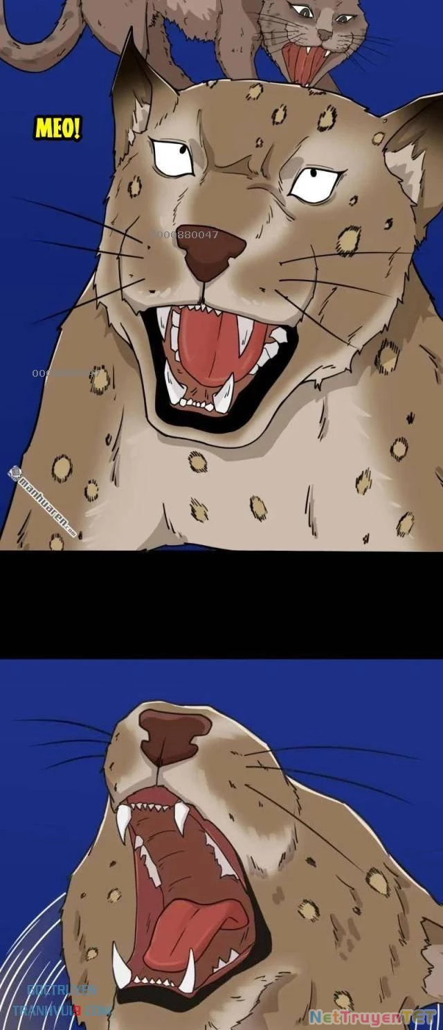 Đấu Yếm Thần Chapter 298 - Trang 3