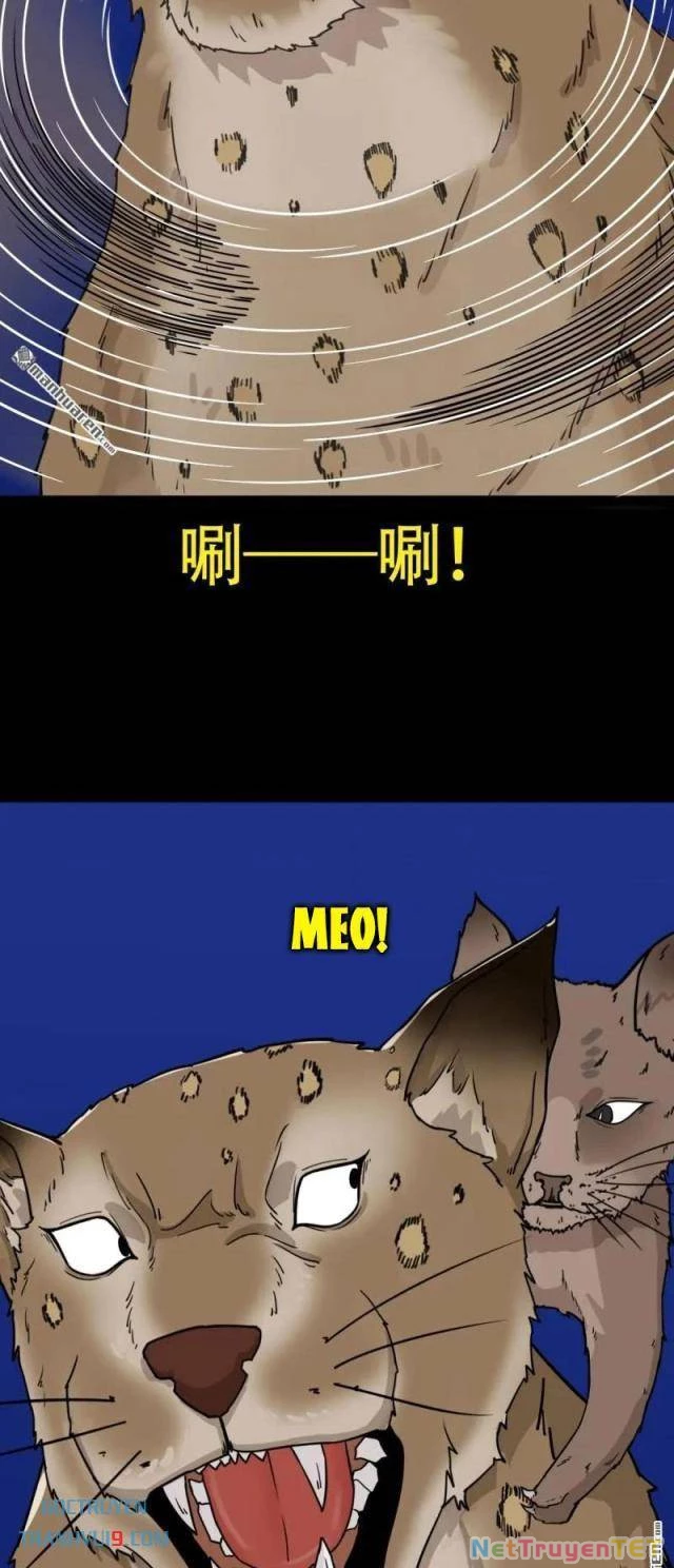 Đấu Yếm Thần Chapter 298 - Trang 3