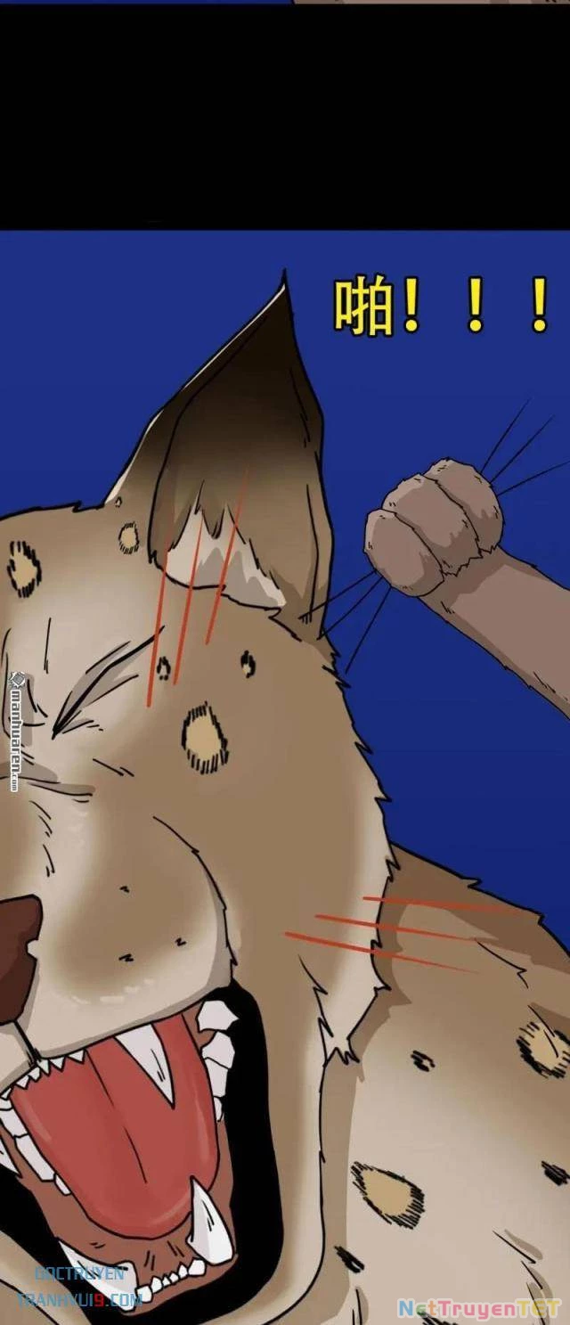 Đấu Yếm Thần Chapter 298 - Trang 3