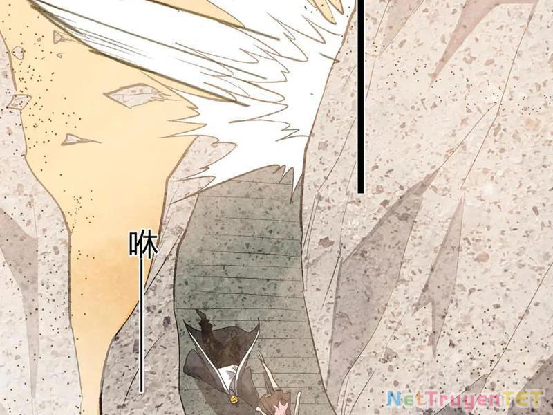 Mạt Nhật Thiên Hạ: Ta, Virus Quân Vương Chapter 49 - Trang 2