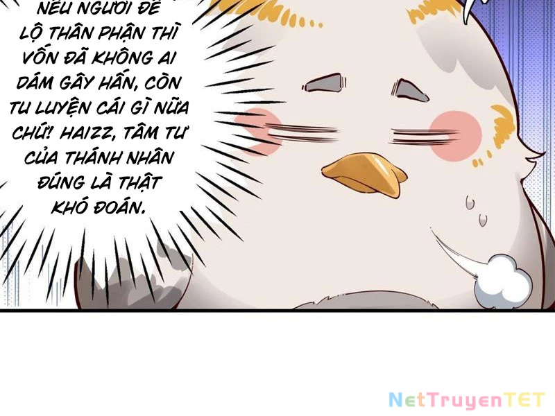 Hồng Hoang: Bắt Đầu Từ Việc Nhận Minh Hà Làm Con Gái Nuôi Chapter 24 - Trang 3