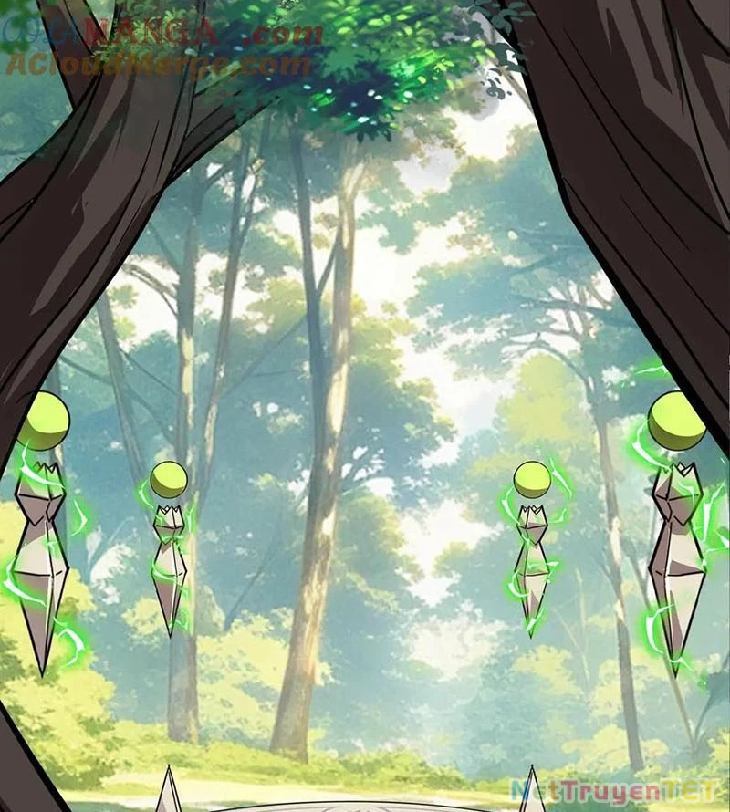 Chỉ Có Ta Có Thể Sử Dụng Triệu Hoán Thuật Chapter 152 - Trang 4