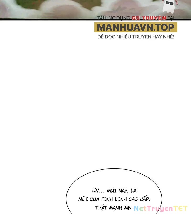 Chỉ Có Ta Có Thể Sử Dụng Triệu Hoán Thuật Chapter 152 - Trang 4