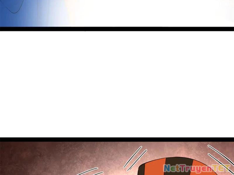 Chàng Rể Mạnh Nhất Lịch Sử Chapter 262 - Trang 4