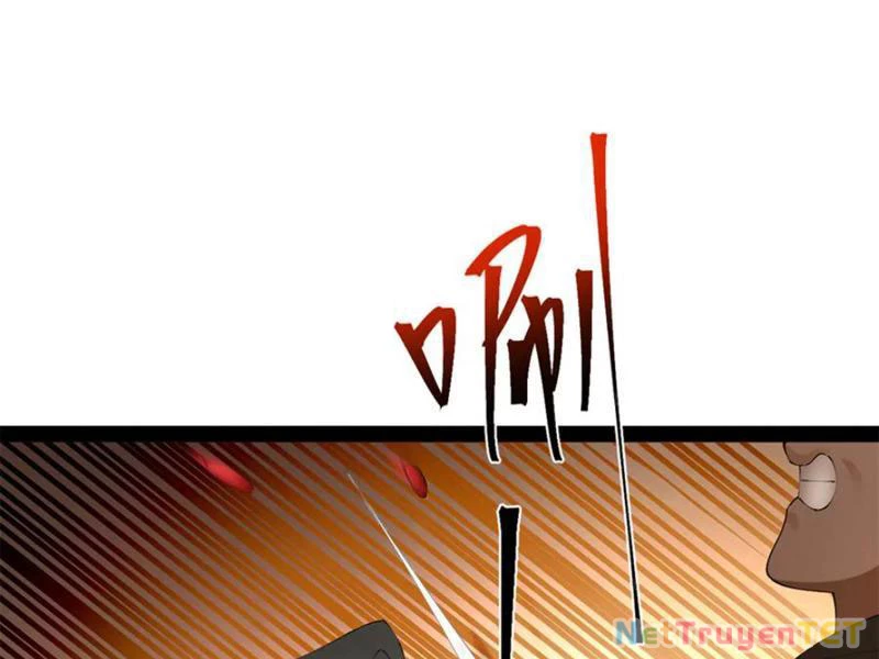 Chàng Rể Mạnh Nhất Lịch Sử Chapter 262 - Trang 4