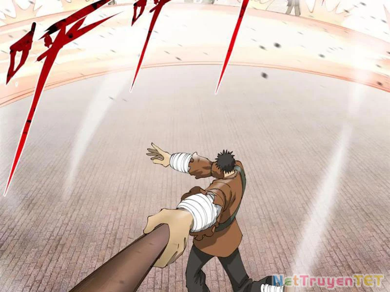 Chàng Rể Mạnh Nhất Lịch Sử Chapter 262 - Trang 4