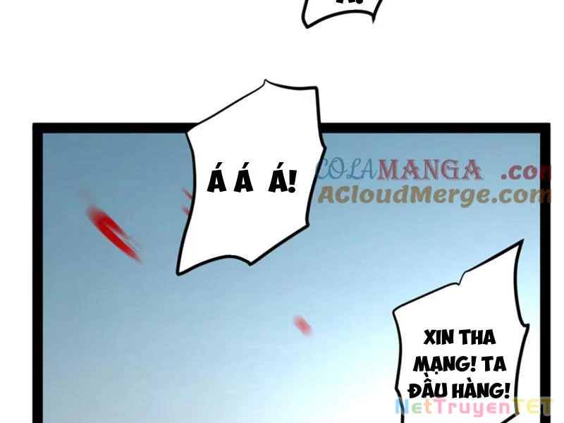 Chàng Rể Mạnh Nhất Lịch Sử Chapter 262 - Trang 4