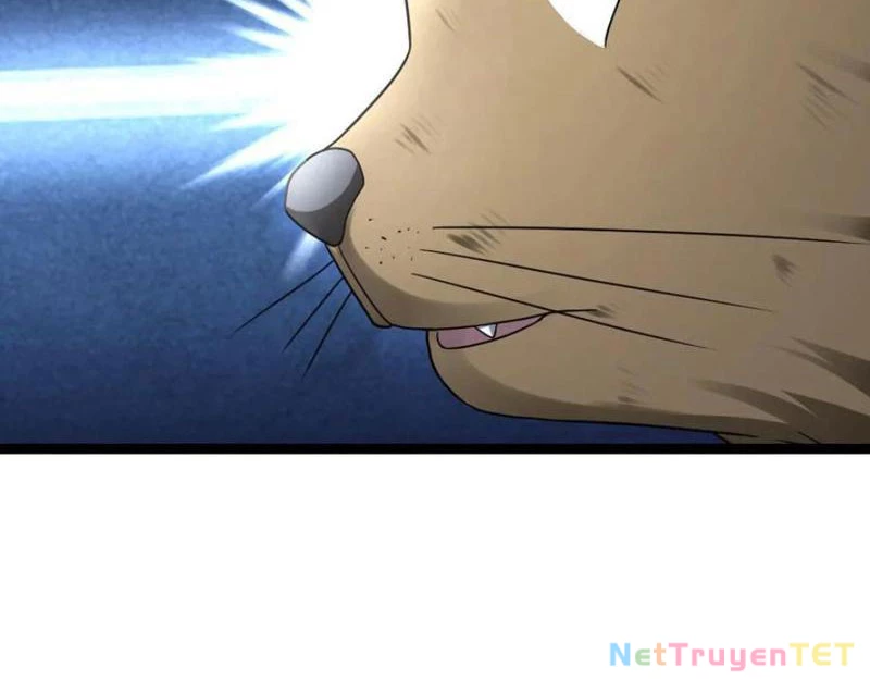 Toàn Cầu Băng Phong: Ta Chế Tạo Phòng An Toàn Tại Tận Thế Chapter 566 - Trang 4