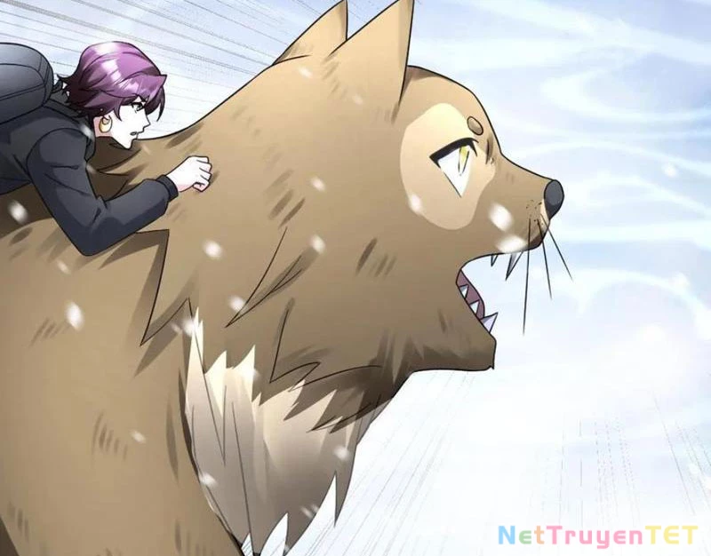 Toàn Cầu Băng Phong: Ta Chế Tạo Phòng An Toàn Tại Tận Thế Chapter 566 - Trang 4