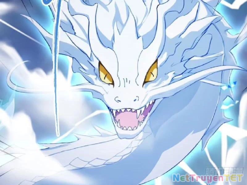 Hoá Ra Ta Đã Vô Địch Từ Lâu Chapter 231 - Trang 4