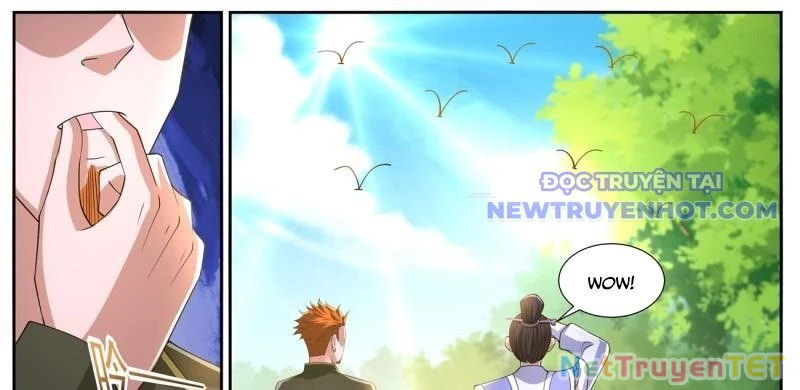 Trọng Sinh Đô Thị Tu Tiên Chapter 1066 - Trang 4