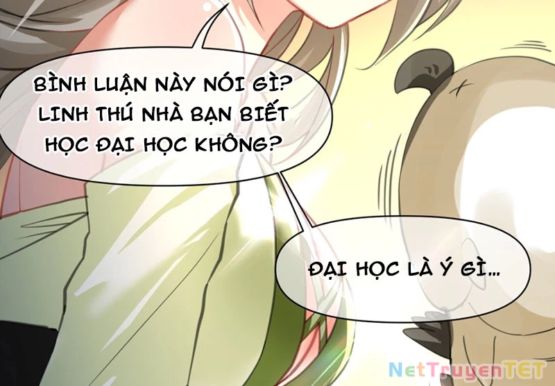 Xuyên Không Tới Thế Giới Tu Chân Nhưng Ta Vẫn Có Mạng Internet Chapter 12 - Trang 2