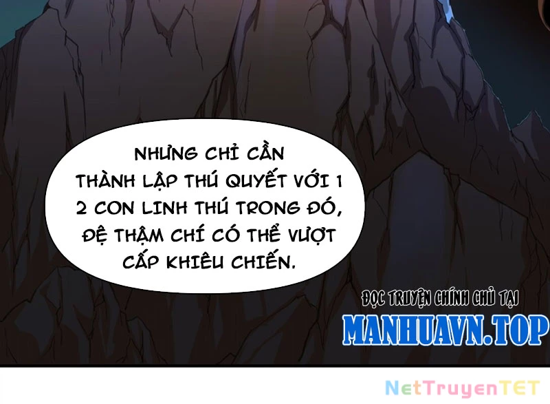 Xuyên Không Tới Thế Giới Tu Chân Nhưng Ta Vẫn Có Mạng Internet Chapter 15 - Trang 2