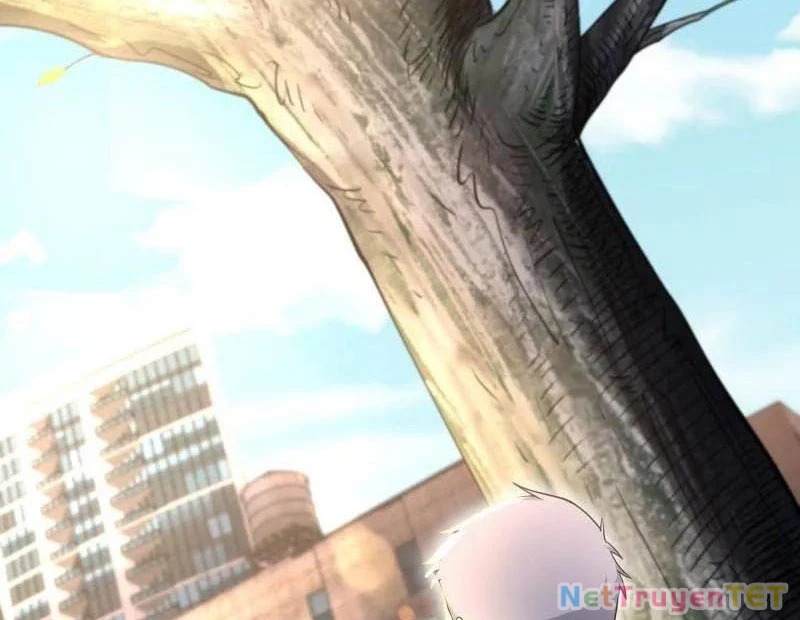 Đệ Nhất Danh Sách Chapter 512 - Trang 4