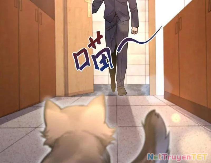 Đệ Nhất Danh Sách Chapter 512 - Trang 4