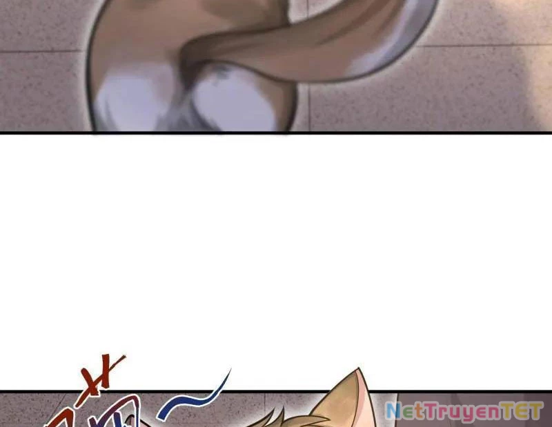 Đệ Nhất Danh Sách Chapter 512 - Trang 4