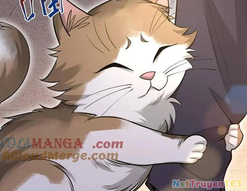 Đệ Nhất Danh Sách Chapter 512 - Trang 4