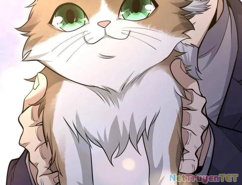 Đệ Nhất Danh Sách Chapter 512 - Trang 4