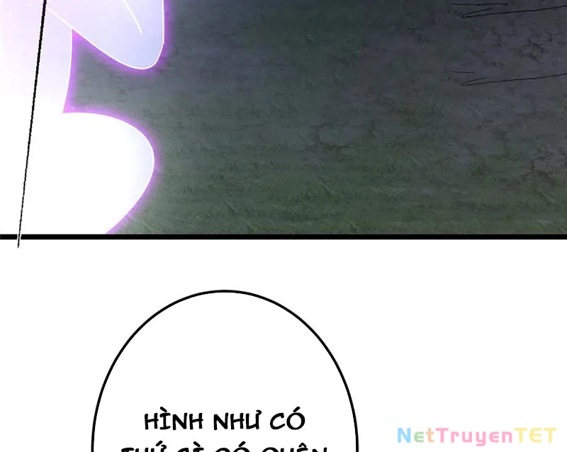 Chưởng Môn Khiêm Tốn Chút Chapter 462 - Trang 4