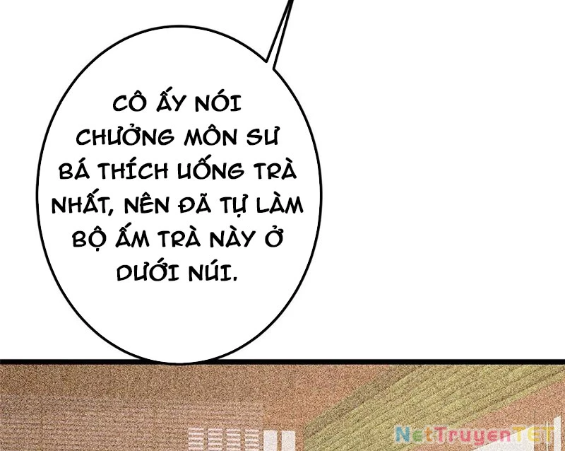 Chưởng Môn Khiêm Tốn Chút Chapter 462 - Trang 4