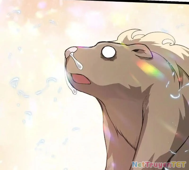 Chuyển Sinh Thành Liễu Đột Biến Chapter 321 - Trang 4