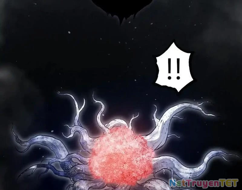 Chuyển Sinh Thành Liễu Đột Biến Chapter 321 - Trang 4