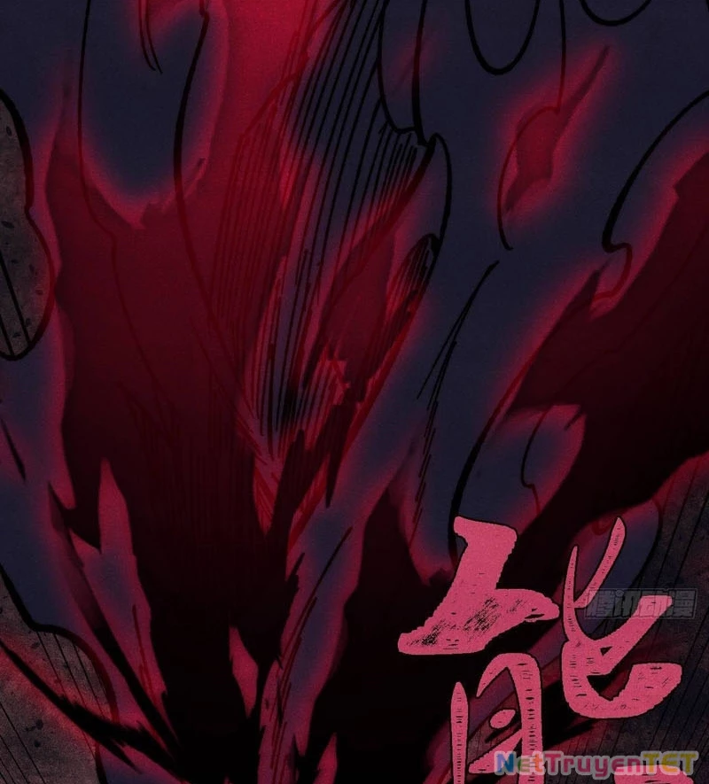 Vạn Cổ Tối Cường Tông Chapter 391 - Trang 4