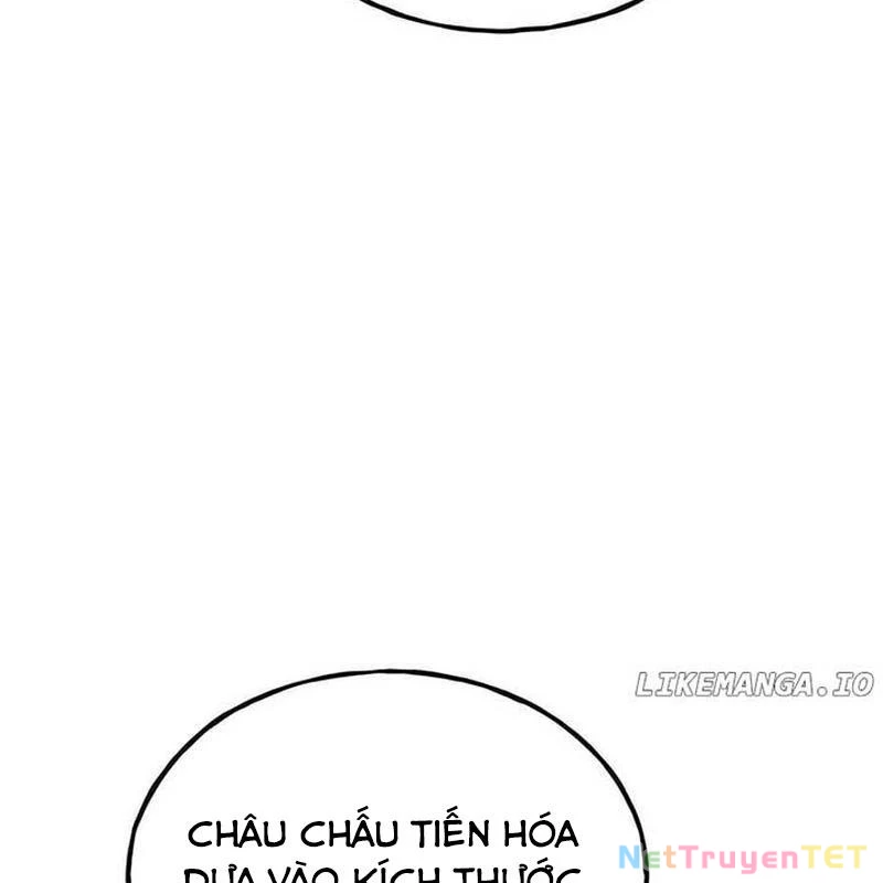 Làm Nông Dân Trong Tòa Tháp Thử Thách Chapter 93 - Trang 4