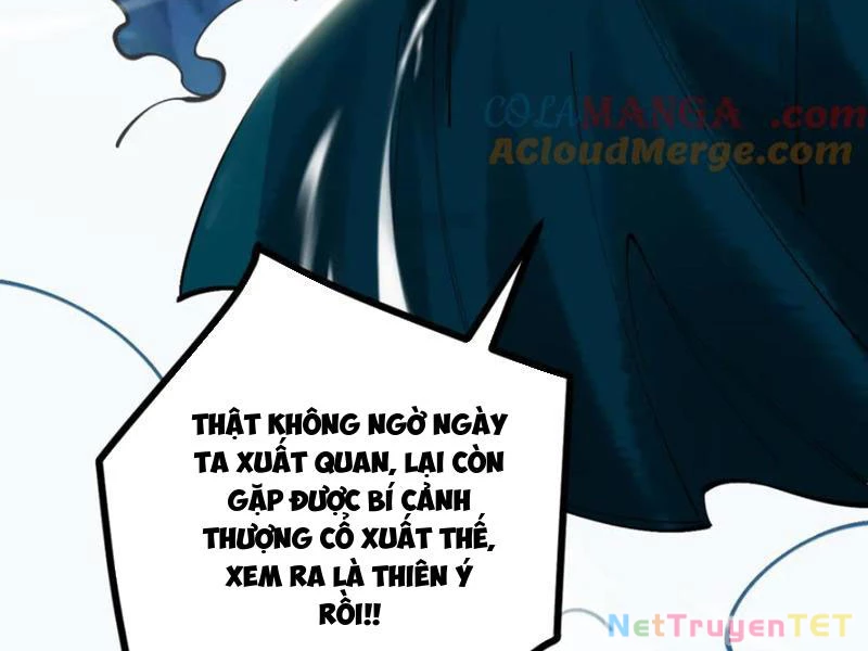 Gặp Mạnh Thì Mạnh, Ta Tu Vi Vô Thượng Hạn Chapter 12 - Trang 3