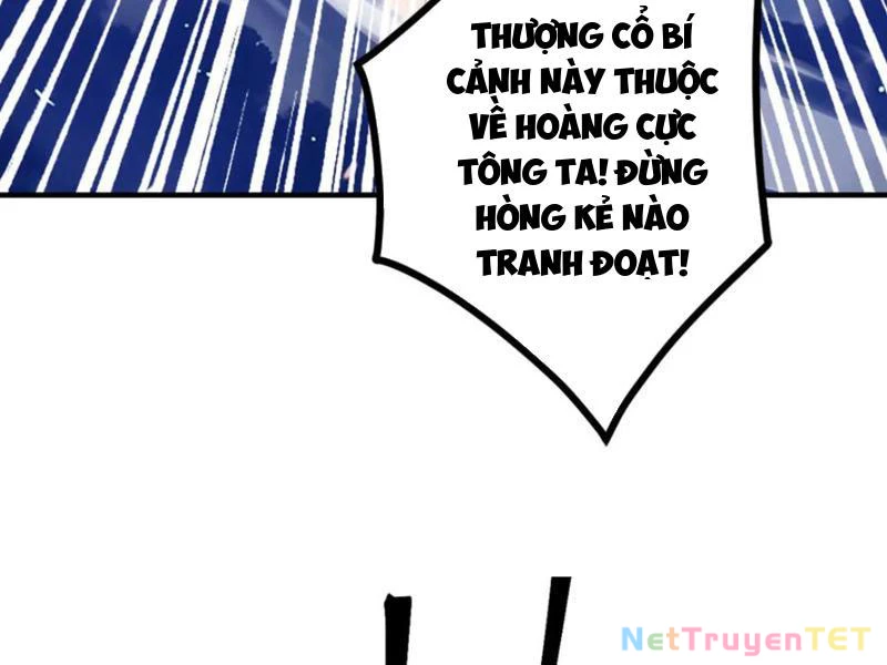Gặp Mạnh Thì Mạnh, Ta Tu Vi Vô Thượng Hạn Chapter 12 - Trang 3