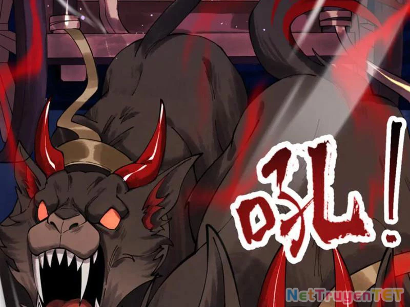 Gặp Mạnh Thì Mạnh, Ta Tu Vi Vô Thượng Hạn Chapter 12 - Trang 3