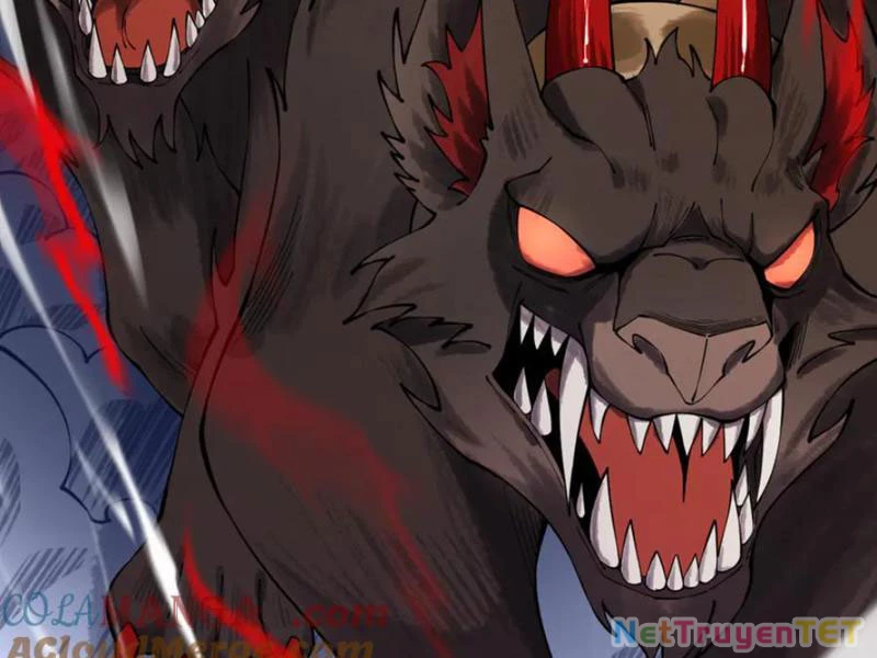 Gặp Mạnh Thì Mạnh, Ta Tu Vi Vô Thượng Hạn Chapter 12 - Trang 3